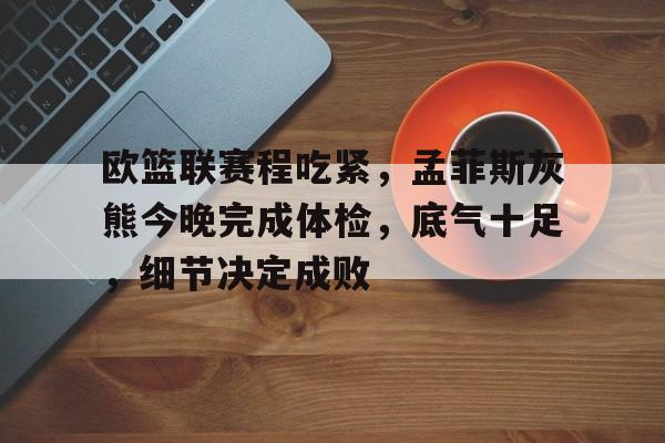 欧篮联赛程吃紧，孟菲斯灰熊今晚完成体检，底气十足，细节决定成败的简单介绍-九游